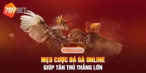 cược đá gà online