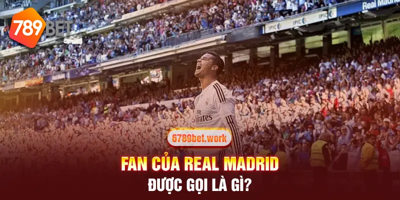 fan của Real Madrid được gọi là gì?